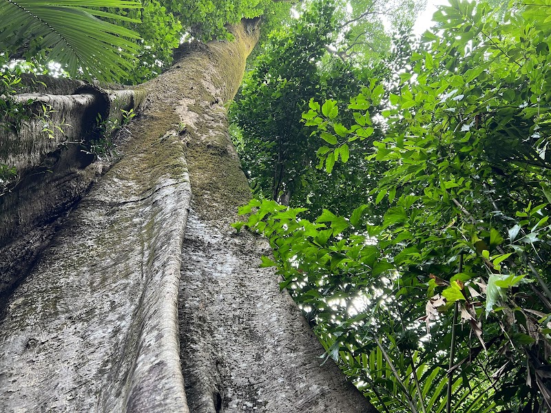 Trek to Kudlu Theertha Falls - Nadpal - India - booked ai