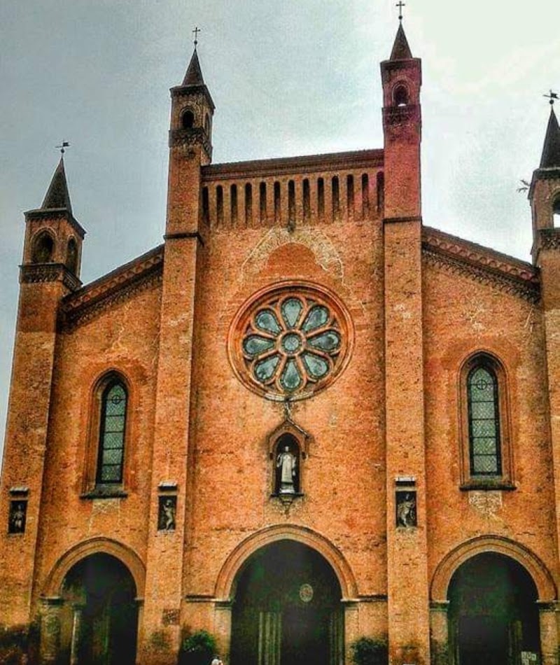 Visit to the Alba Cathedral and Historic Center - Alba - Italy - booked ai
