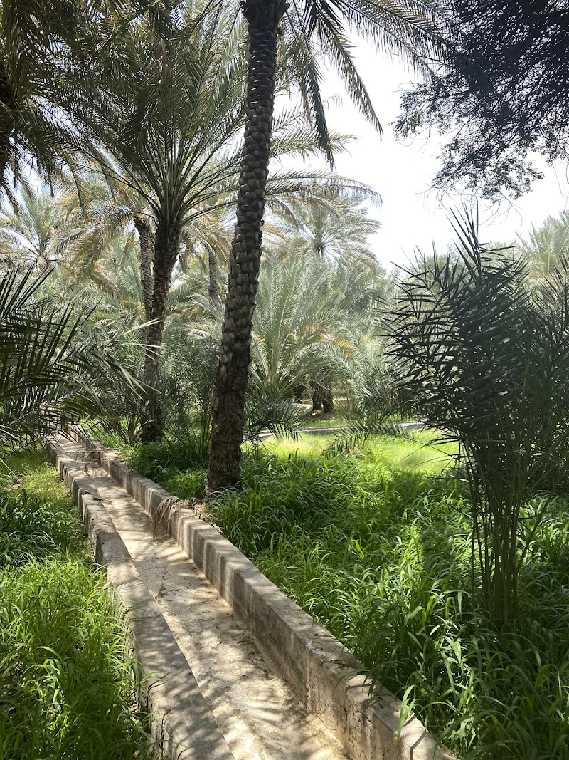 Al Ain Oasis - Al Ain - United Arab Emirates - booked ai