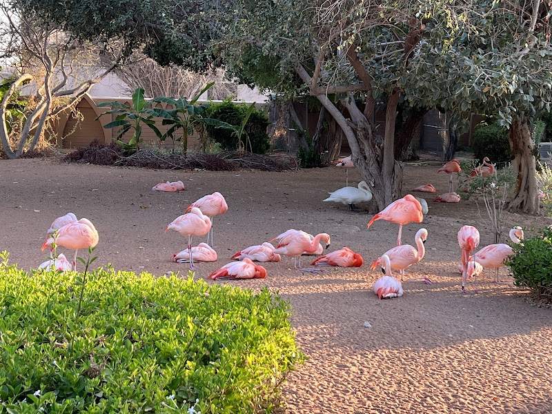 Al Ain Zoo - Al Ain - United Arab Emirates - booked ai