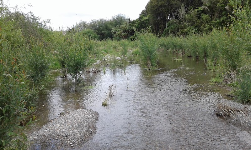 Kimberley Reserve - Levin - New Zealand - booked ai