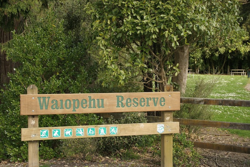 Waiopehu Bush Reserve - Levin - New Zealand - booked ai