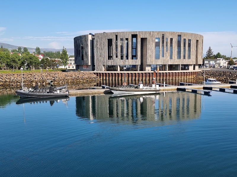 Whale Watching in Eyjafjörður - Akureyri - Iceland - booked ai