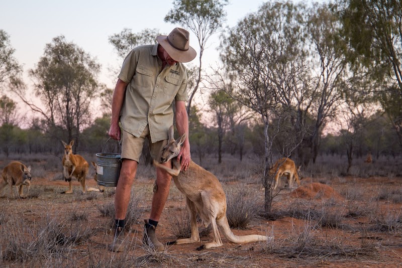 Experience the Kangaroo Sanctuary - Alice Springs - Australia - booked ai