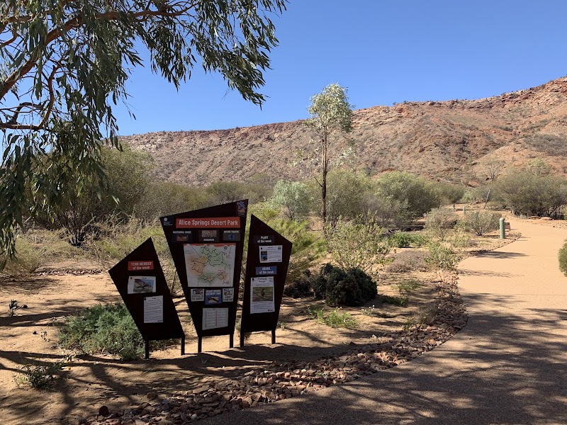 Visit Alice Springs Desert Park - Alice Springs - Australia - booked ai