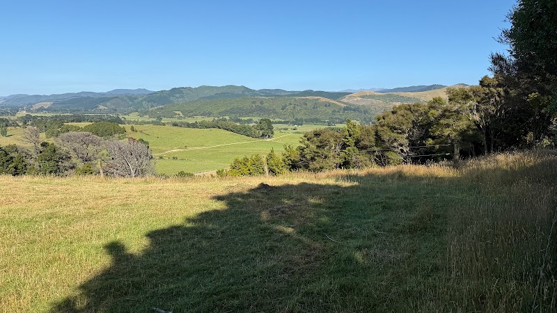 Exploring the Natural Beauty of Fensham Reserve - Carrington - New Zealand - booked ai