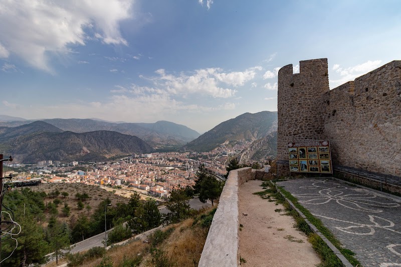 Explore the Amasya Castle - Amasya - Türkiye - booked ai