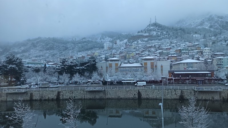Gönül Konakları - Amasya - Türkiye - booked ai