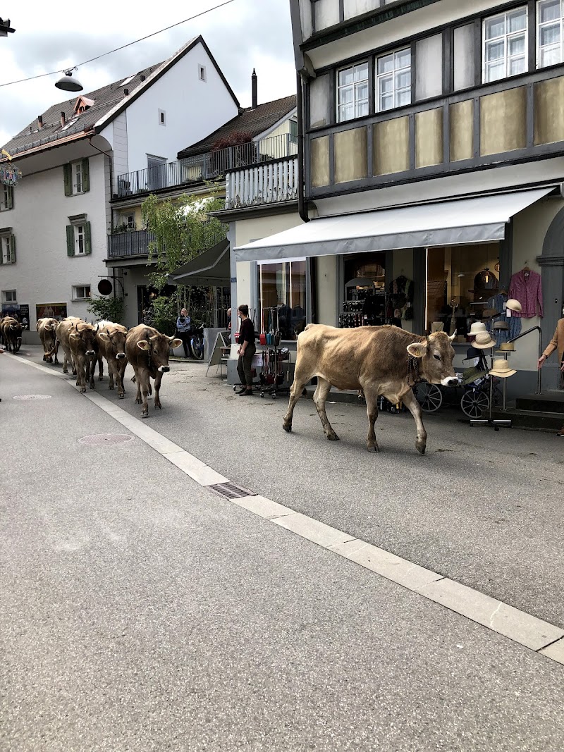 Visiting Appenzell Village and Museum - Appenzell - Switzerland - booked ai