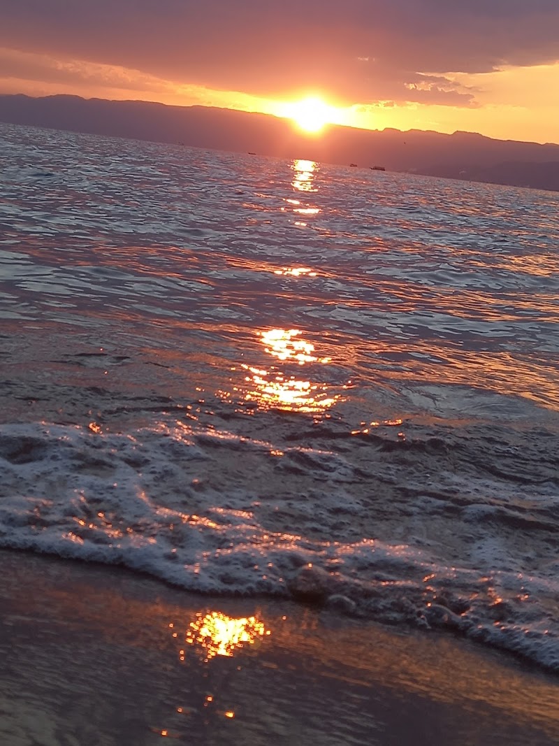 Glass-Bottom Boat Tour - Aqaba - Jordan - booked ai