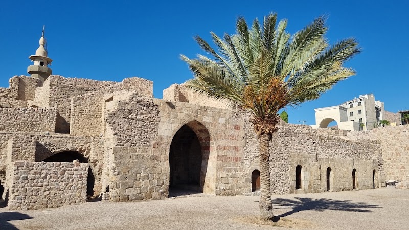 Snorkeling and Diving in the Red Sea - Aqaba - Jordan - booked ai
