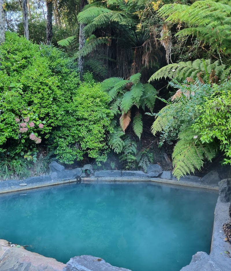 Okoroire Hot Springs Hotel - Okoroire - New Zealand - booked ai