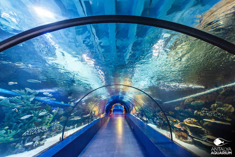 Antalya Aquarium - Antalya - Türkiye - booked ai