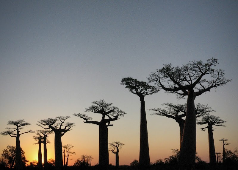Take a Traditional Rickshaw Tour Around the City - Antsirabe - Madagascar - booked ai