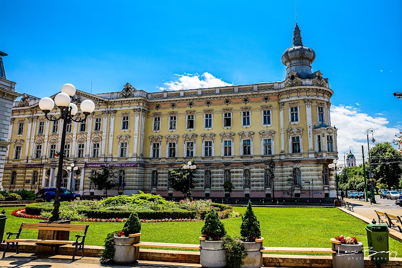 Explore the City Hall Palace and Avram Iancu Square - Arad - Romania - booked ai