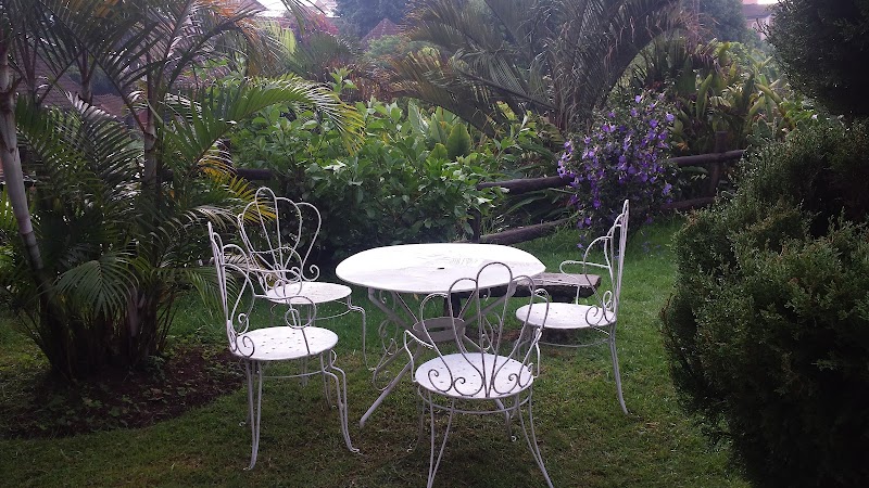 Green Park Restaurant - Antsirabe - Madagascar - booked ai