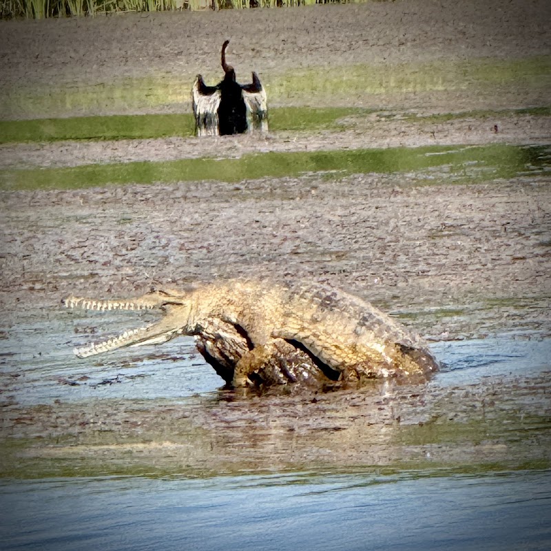 Exploring the Ord River in Kununurra, Western Australia - Kununurra - Australia - booked ai