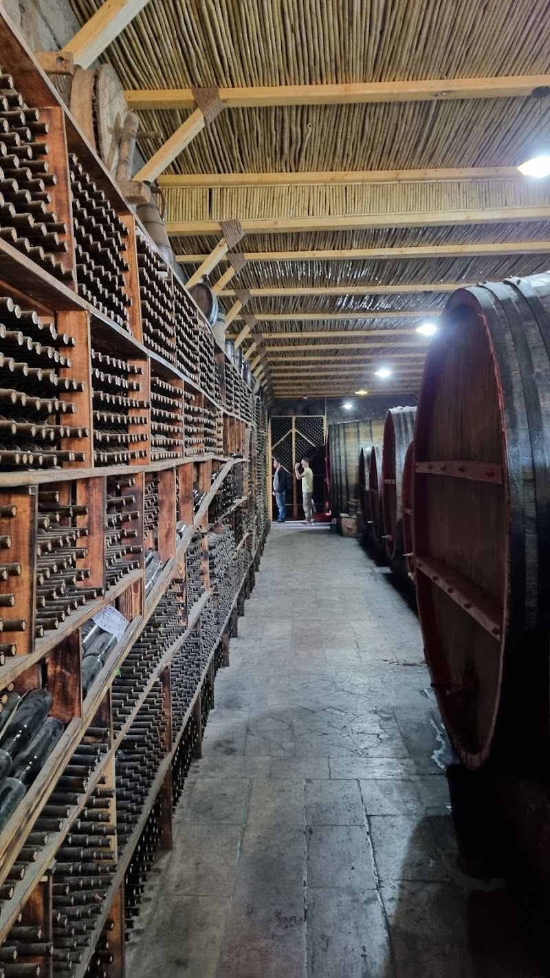 Wine Tasting at Local Wineries at Areni, Armenia - Areni - Armenia - booked ai