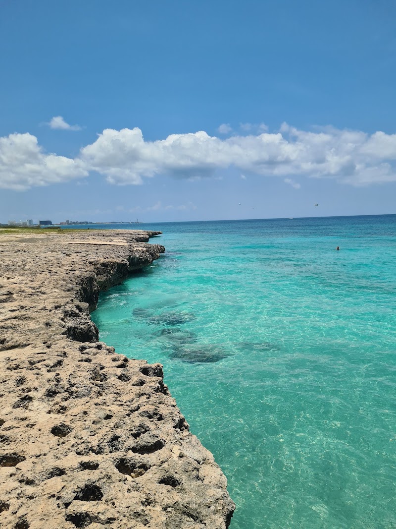 Snorkeling at the Antilla Shipwreck - Noord - Aruba - booked ai