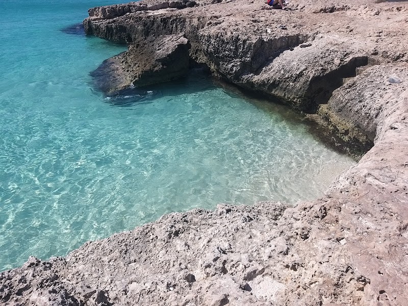 Snorkeling at the Antilla Shipwreck - Noord - Aruba - booked ai