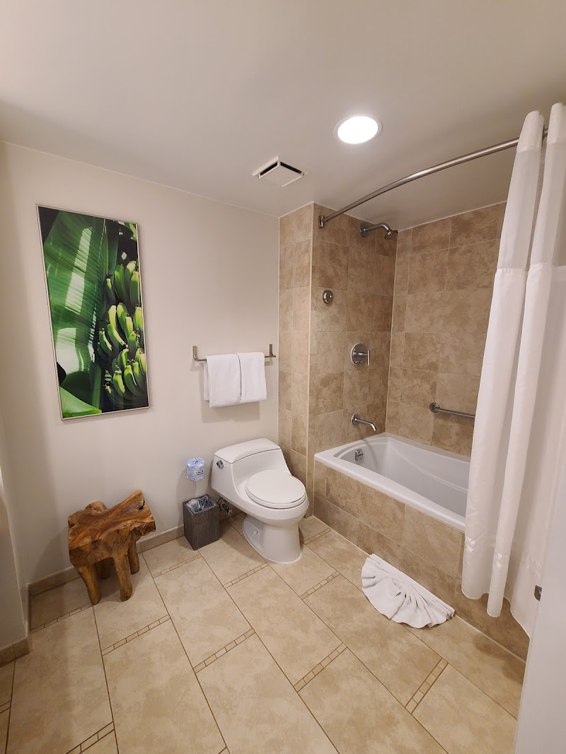 Hyatt Regency Aruba Resort Spa and Casino - Noord - Aruba - booked ai