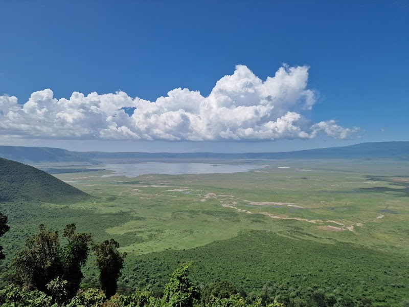 Safari in Serengeti National Park - Arusha - Tanzania - booked ai