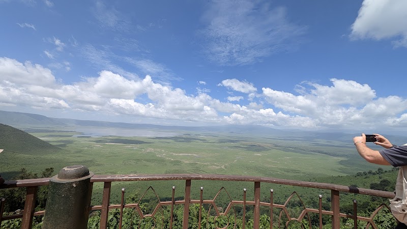 Safari in Serengeti National Park - Arusha - Tanzania - booked ai