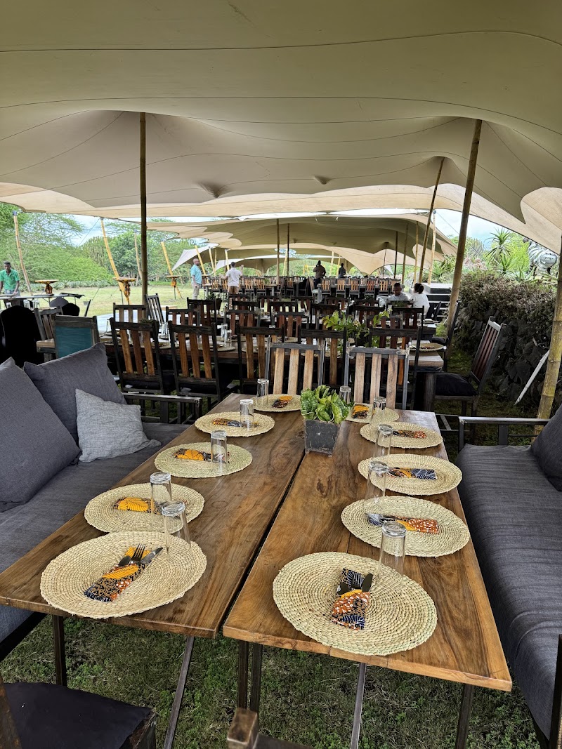 The Blue Heron - Tanzania - Tanzania - booked ai