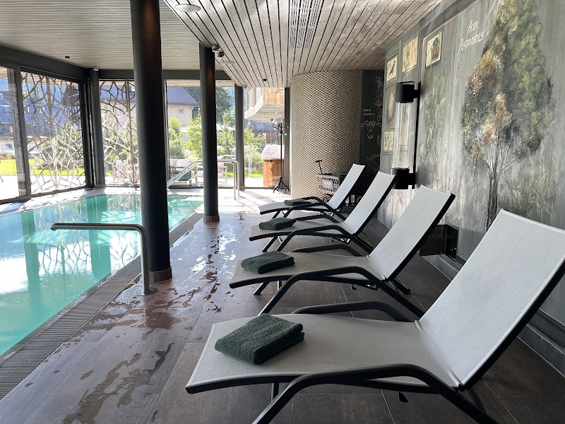 Valsana Hotel Arosa - Arosa - Switzerland - booked ai