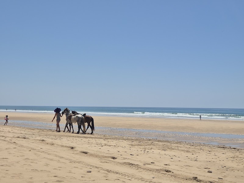 Relax at Paradise Beach - Tanger-Tétouan-Al Hoceima - Morocco - booked ai