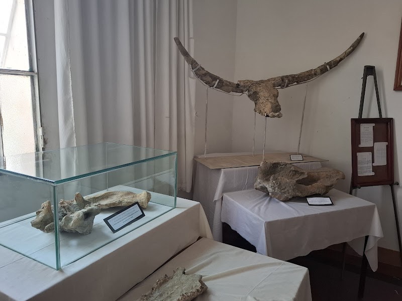 Visit the National Museum of Eritrea - Asmara - Eritrea - booked ai
