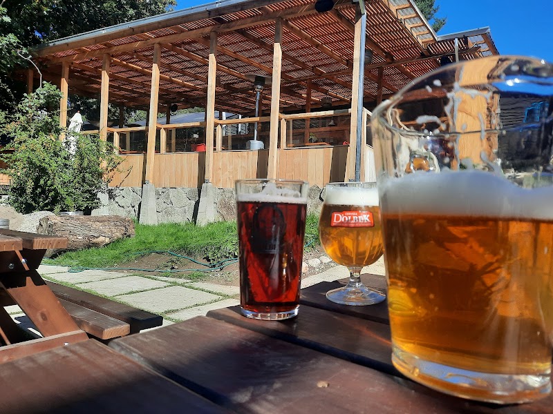Cervecería D'olbek - Coyhaique - Chile - booked ai