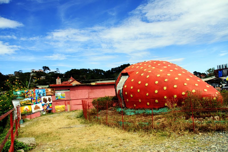 Explore La Trinidad Strawberry Farm - La Trinidad - Philippines - booked ai