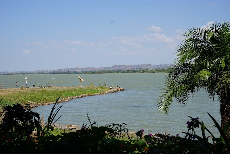 Desset Lodge Restaurant - Bahir Dar - Ethiopia - booked ai