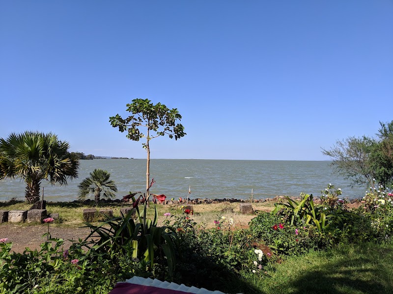 Desset Lodge Restaurant - Bahir Dar - Ethiopia - booked ai