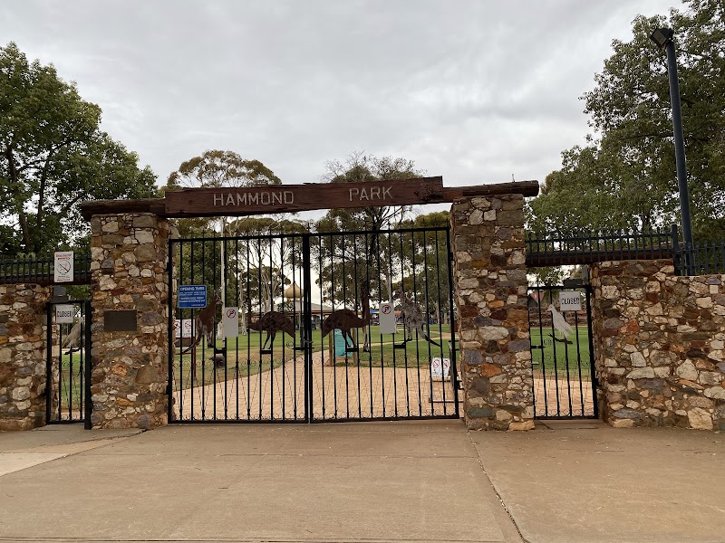 Hammond Park: A Hidden Gem for Outdoor Enthusiasts - Kalgoorlie - Australia - booked ai