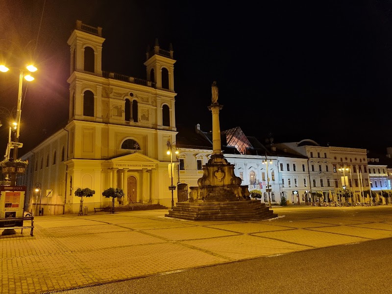 St. Francis Xavier Cathedral - Banská Bystrica - Slovakia - booked ai