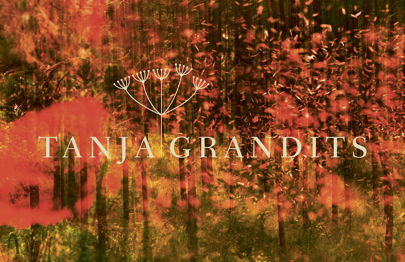 Restaurant Stucki Tanja Grandits - Basel - Switzerland - booked ai