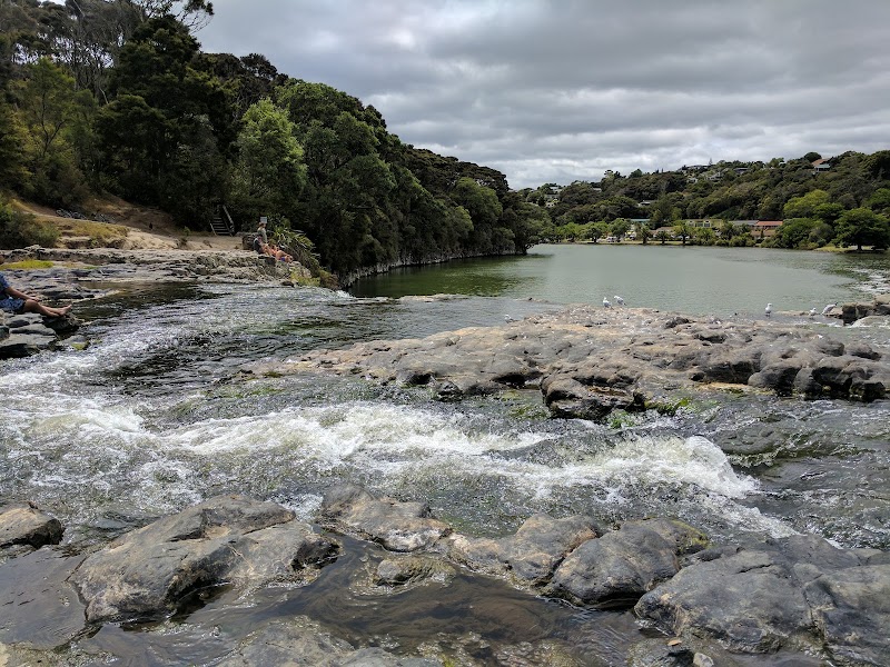 Haruru Falls: A Majestic Natural Wonder - Waitangi - New Zealand - booked ai