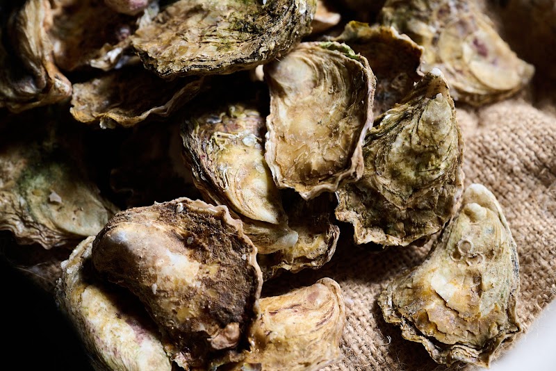 Yardbird Restaurant - Albury - Australia - booked ai