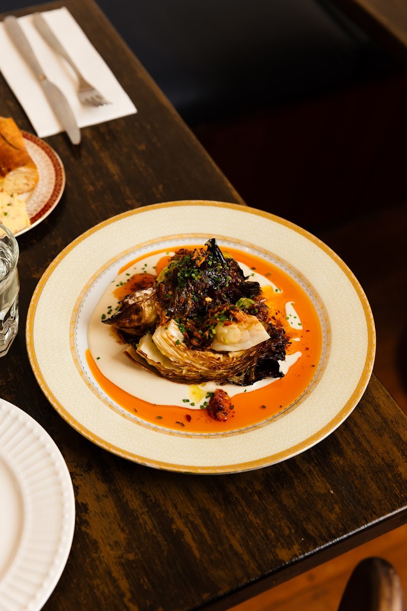 Lost Cat - Warrnambool - Australia - booked ai