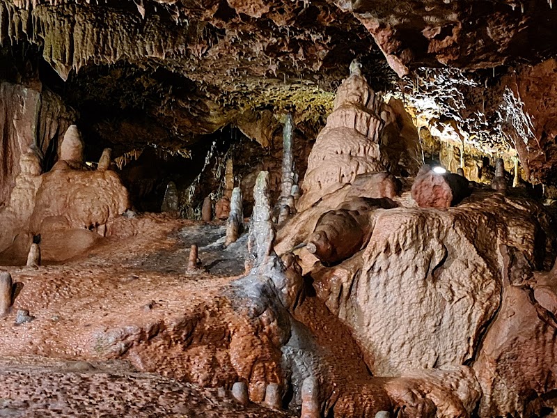 Explore the Ancient Wonders of Kents Cavern Prehistoric Caves - Torquay - United Kingdom - booked ai