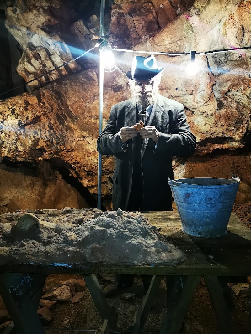 Explore the Ancient Wonders of Kents Cavern Prehistoric Caves - Torquay - United Kingdom - booked ai