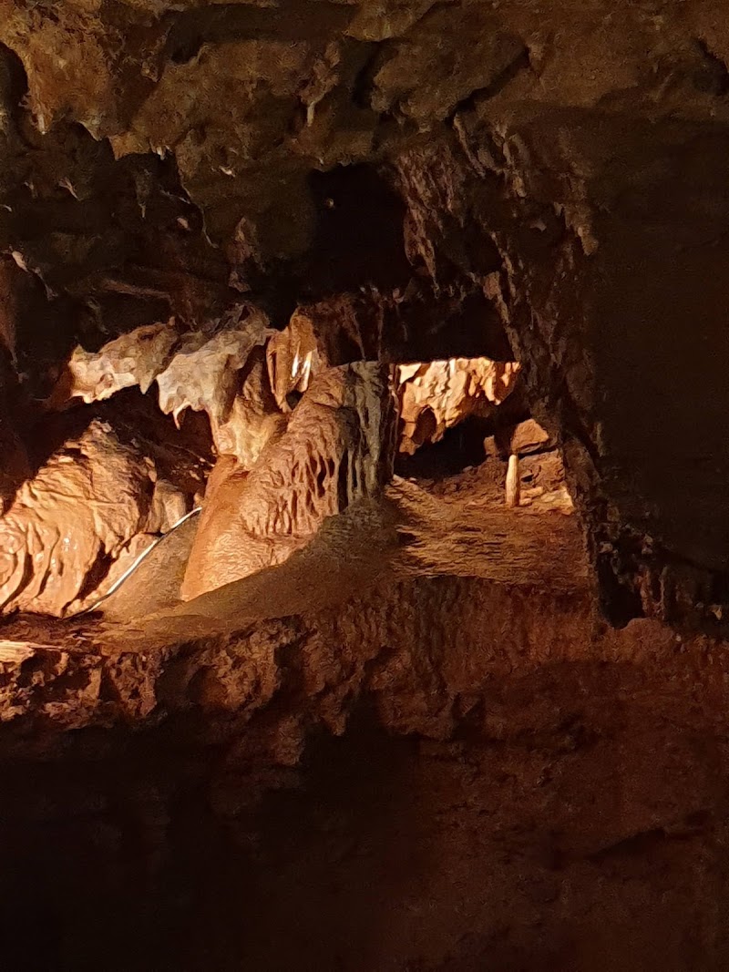 Explore the Ancient Wonders of Kents Cavern Prehistoric Caves - Torquay - United Kingdom - booked ai