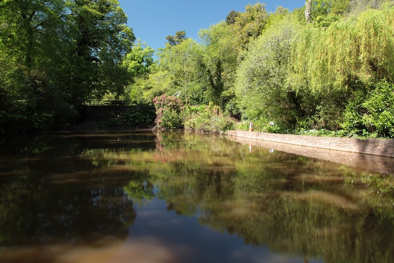 Exploring Cockington Country Park: A Tranquil Escape into Nature - Torquay - United Kingdom - booked ai