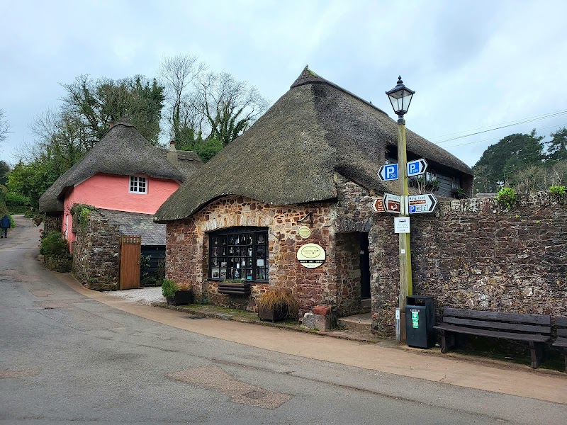 Exploring Cockington Country Park: A Tranquil Escape into Nature - Torquay - United Kingdom - booked ai