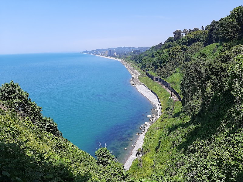 Explore the Batumi Botanical Garden - Batumi - Georgia - booked ai