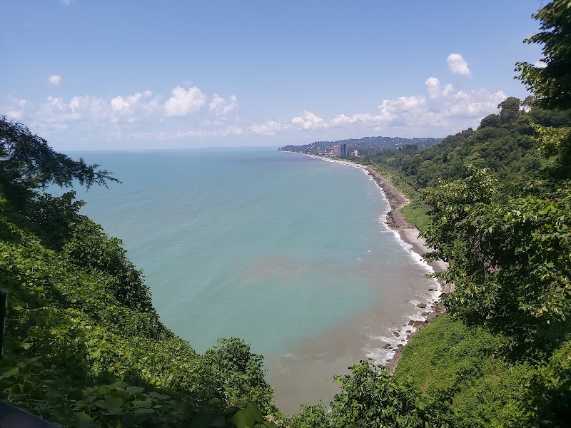 Explore the Batumi Botanical Garden - Batumi - Georgia - booked ai