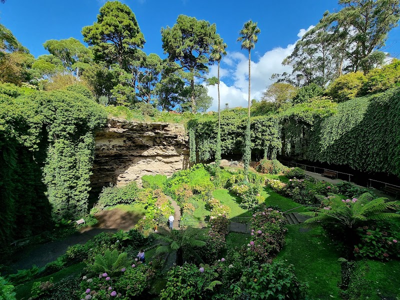 Exploring the Hidden Beauty of Umpherston Sinkhole, Balumbul - Mount Gambier - Australia - booked ai