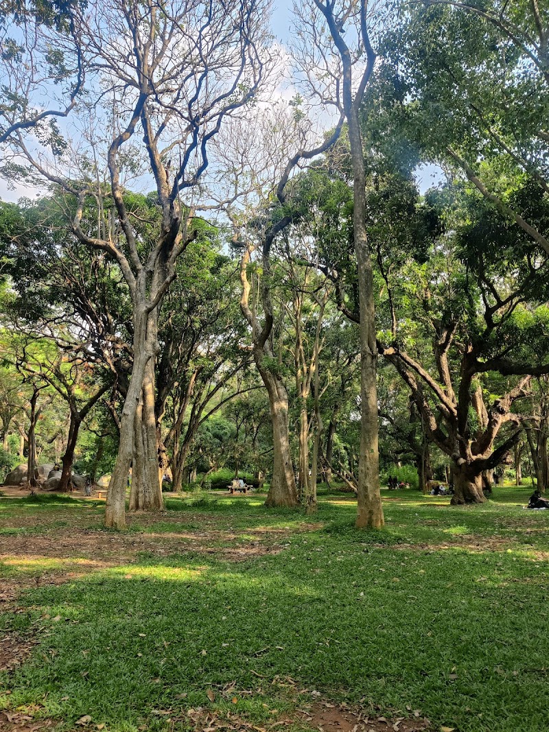 Stroll through Cubbon Park - Bengaluru - India - booked ai